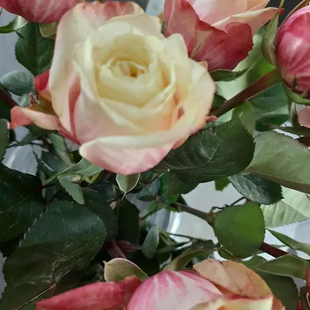 Hamburg Vor Der Tür Apartamento Pinneberg